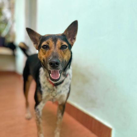 Apartmán Baba Luru'S Varkala Exteriér fotografie